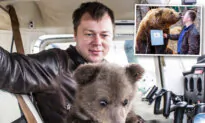 Pilot Rescues Bear Cub Abandoned on Airfield, Now Shares an Unlikely Bond With Him