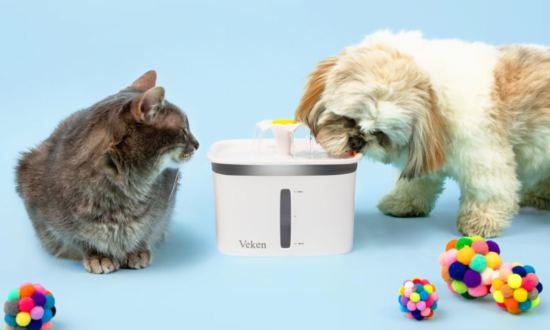 Best Cat Water Fountains: Models That Cats Love