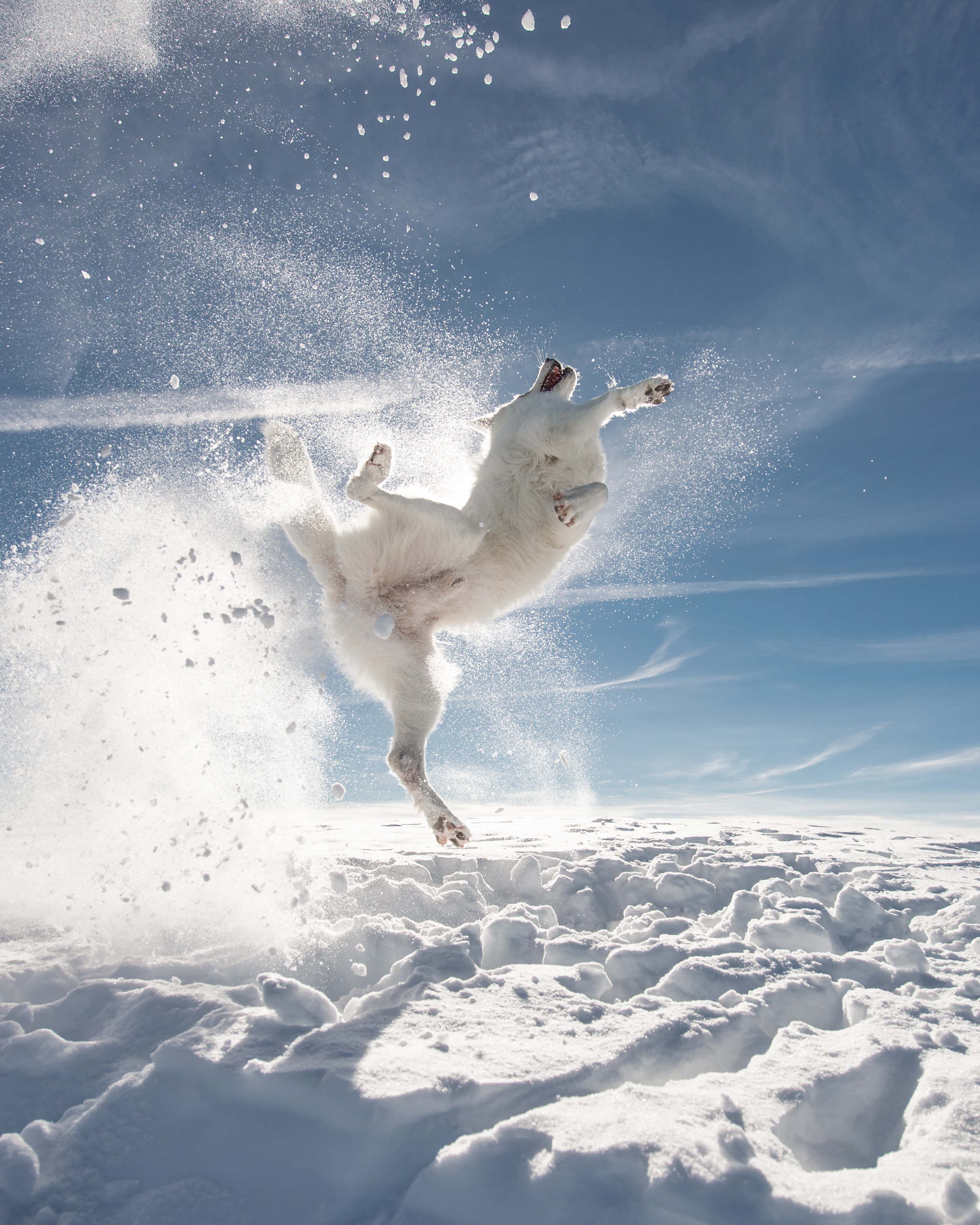 Epoch Times Photo