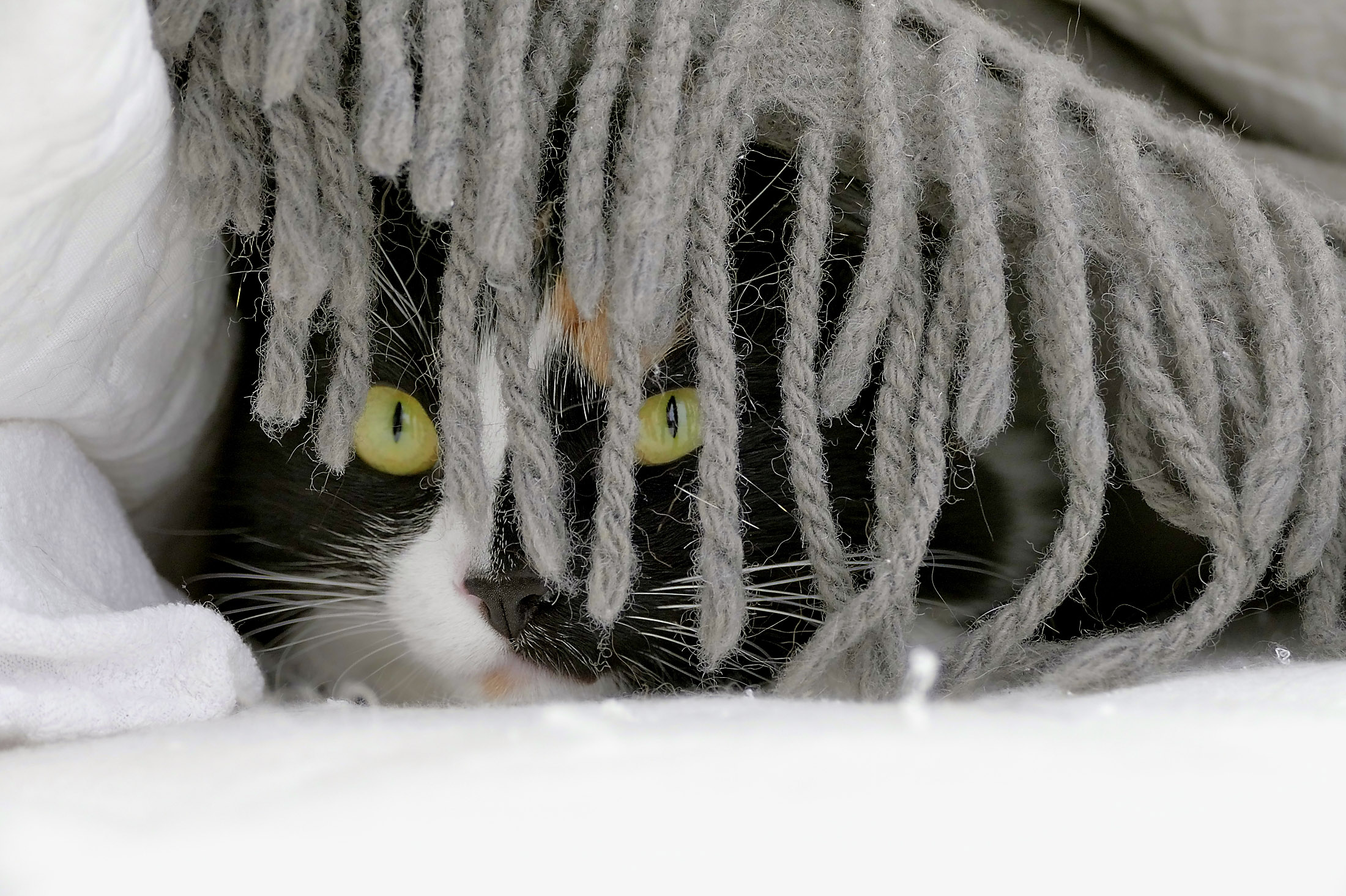 Epoch Times Photo