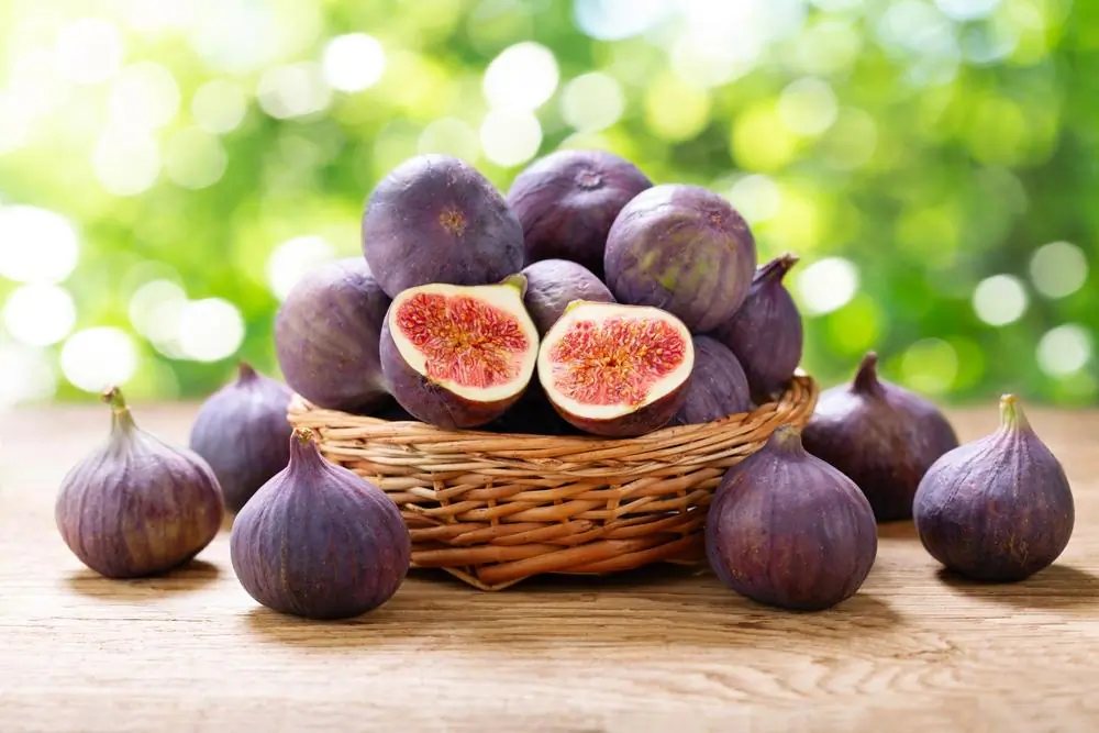 (Nitr/Shutterstock)