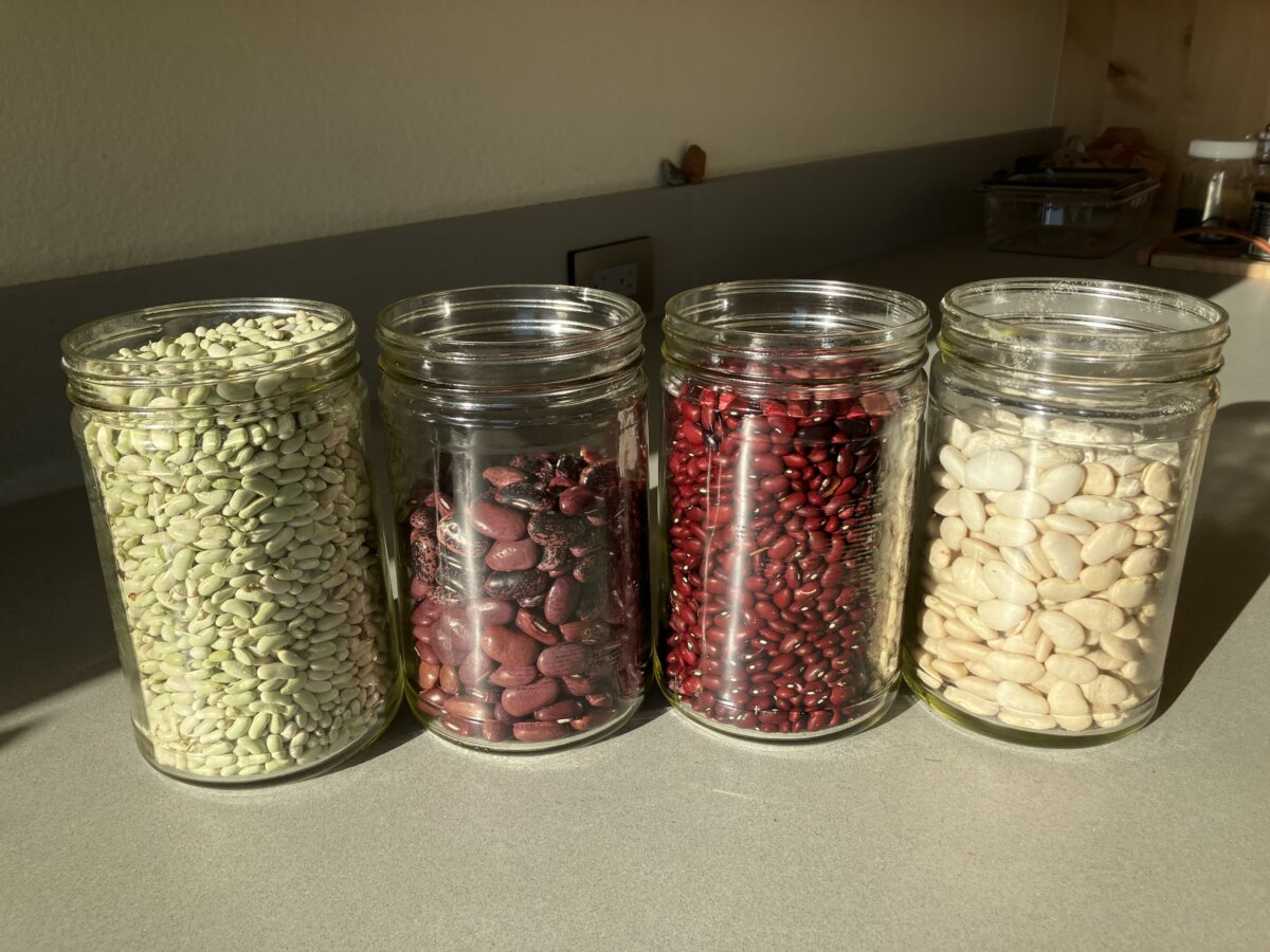 various dried beans in glass jars