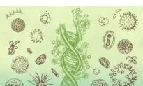 Do We Fight Disease, Or Empower the Body?