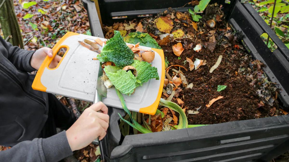 It doesn't take long for kitchen scraps to break down. (Jerome.Romme/Shutterstock)