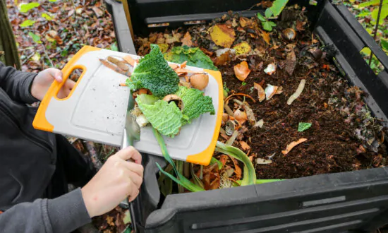 Make Fertile Compost From Waste