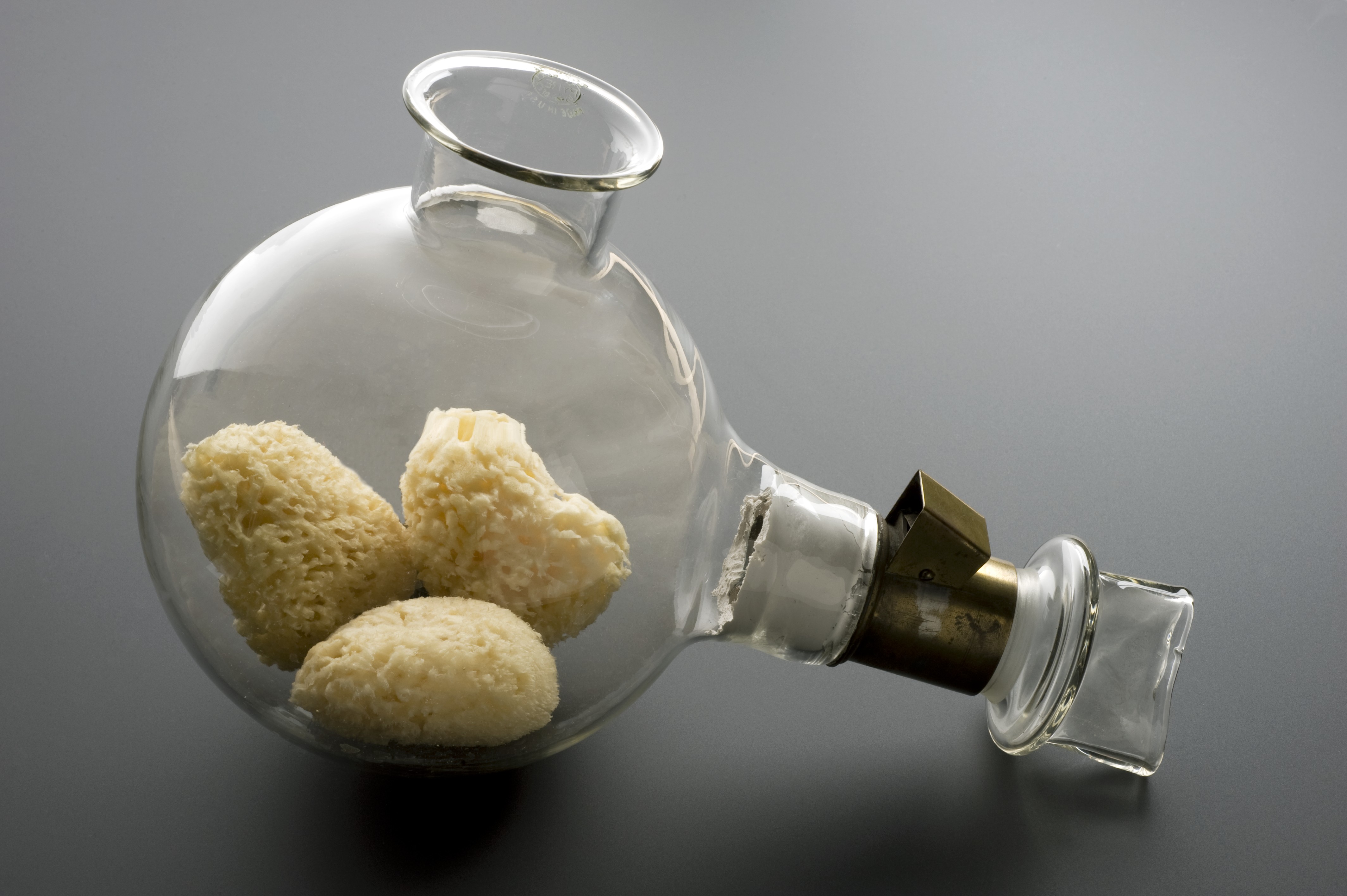 Morton's inhaler