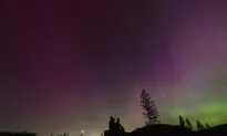 No Major Disruptions to Electric Power Grid Reported as Solar Storm Hits Earth