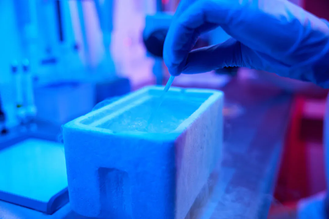 Lab worker immerses straw with embryo in tank of liquid nitrogen. (YAKOBCHUK VIACHESLAV/Shutterstock)