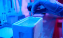 Fresh and Frozen Embryo Transfer May Increase Risk of Leukemia Among Offspring