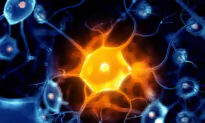 More Than a 3rd of Global Population Have Neurological Disorder: Study