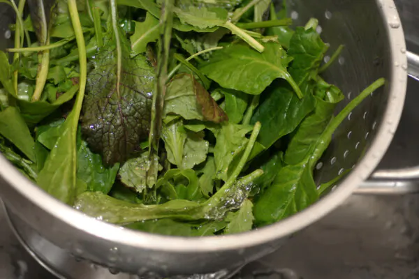 3 Hearty Salads to Kick Off Salad Season