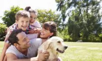 No Tax Break for Pet Insurance