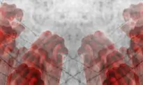 The Latent Fascism of Today’s Anti-Fascists