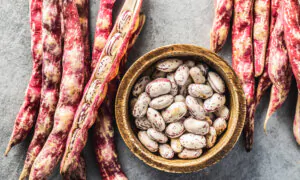 Deliver Us the Beans: How to Grow, Harvest, and Dry These Humble Garden Gems