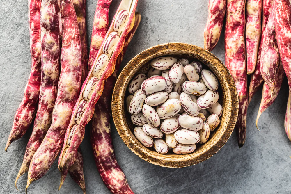 Shelling beans is a marvelous meditative activity. (Jiri Hera/Shutterstock)