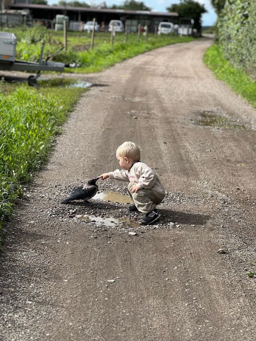 Epoch Times Photo