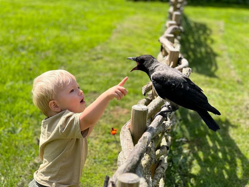 Epoch Times Photo
