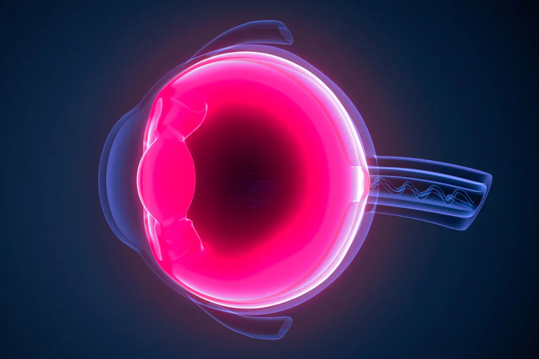 (MicroScience/Shutterstock)