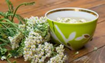 4 Common Plants Offer Relief for Urinary Diseases
