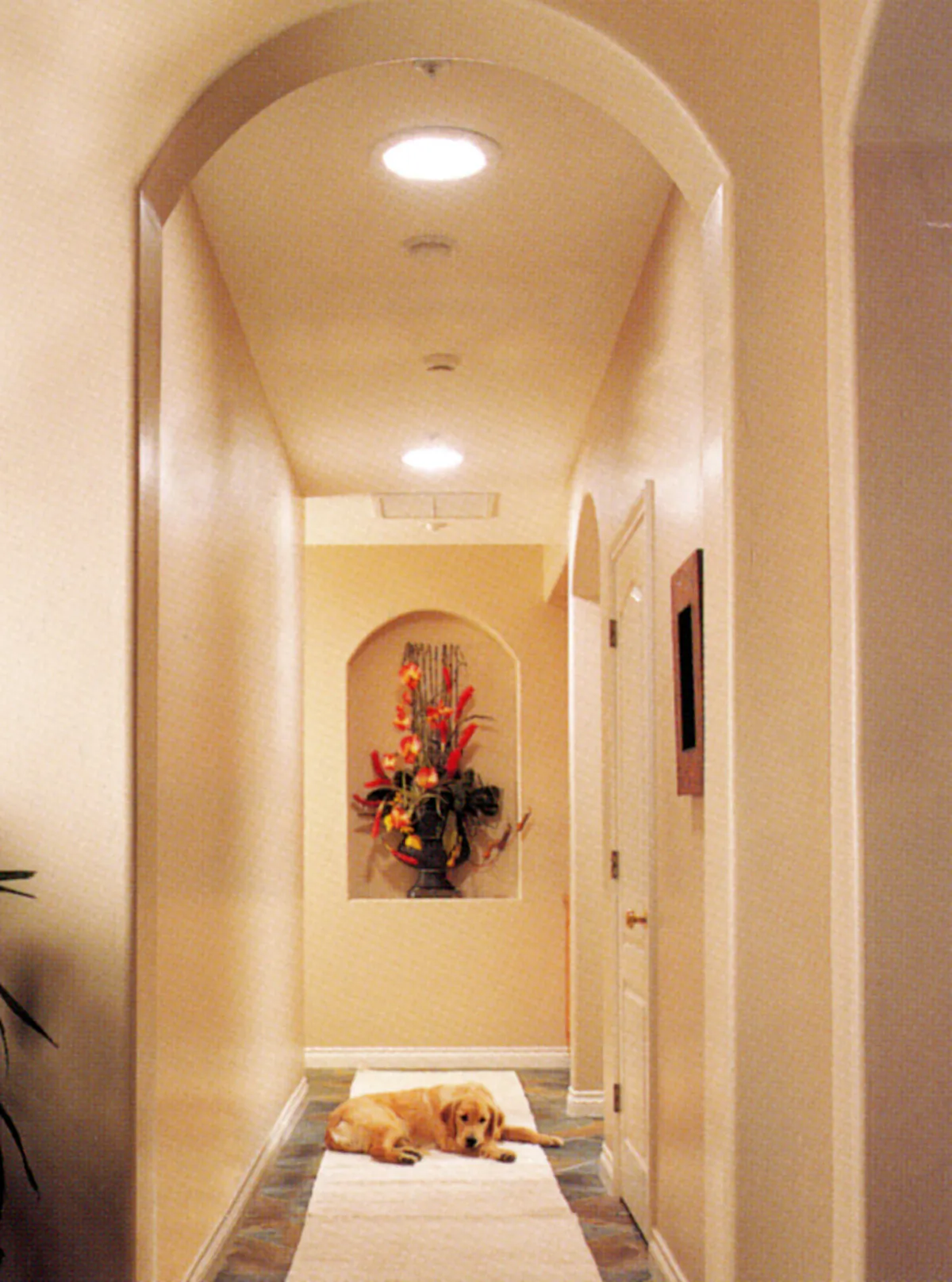 A tubular skylight is installed much the same way as a roof skylight is, but the job is easier. (Solatube/TNS)