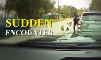 Deputy Got Attacked by an Angry Turkey – and Took It All in Good Humor