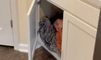Mom Checks On Toddler and Her Dog After They Become Quiet—Finds Them Sharing the Sweetest Moment
