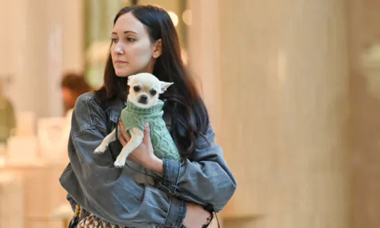 Push for Pets on Trains, Buses at Parliament ‘Pawtest’