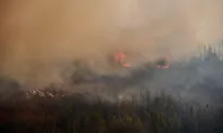 Fire Situation in Western Provinces Improves, With 600 Manitoba Evacuees Getting Green Light to Go Home