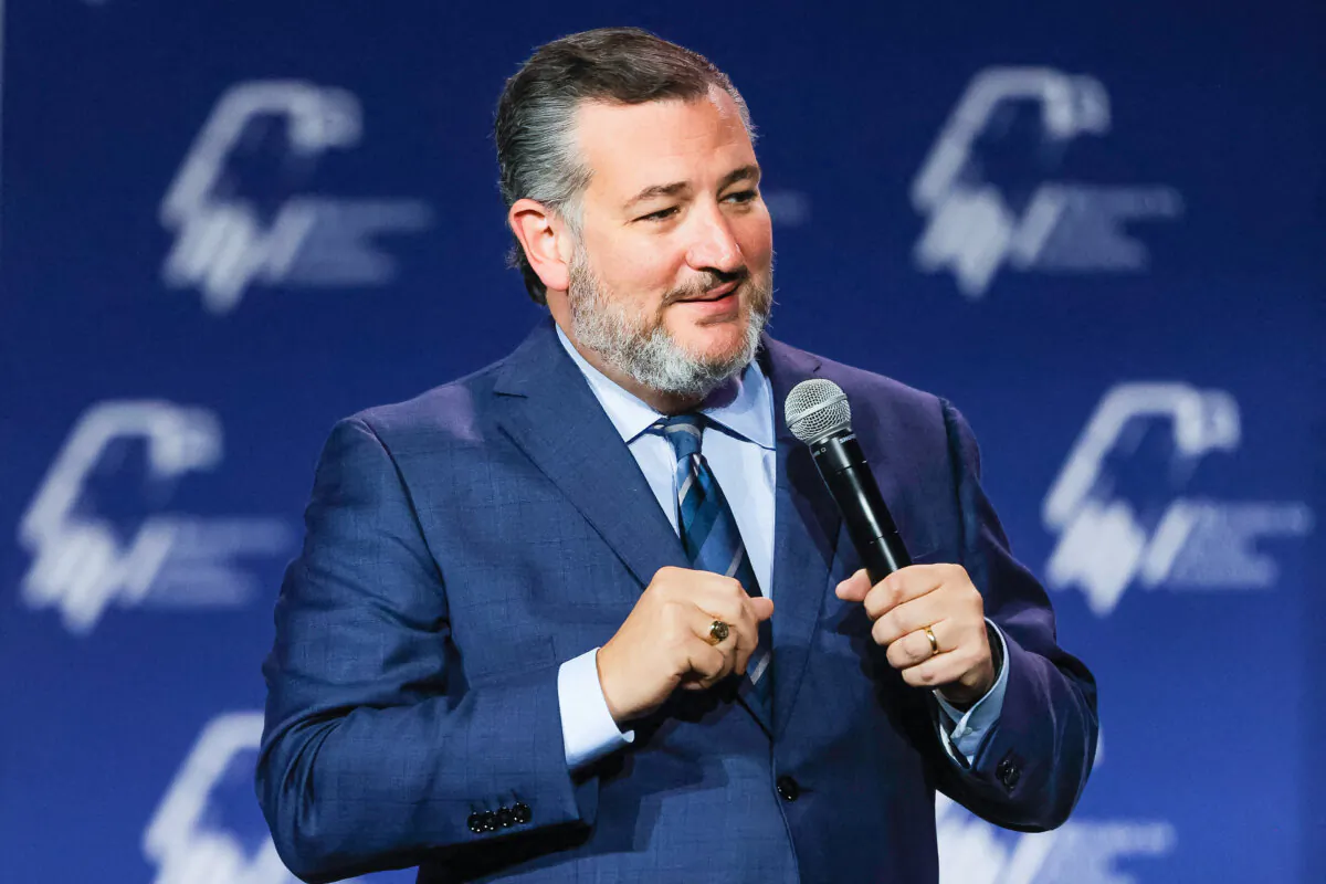 Sen. Ted Cruz (R-Texas) speaks at the Republican Jewish Coalition Annual Leadership Meeting in Las Vegas on Nov. 19, 2022. (Wade Vandervort/AFP via Getty Images)