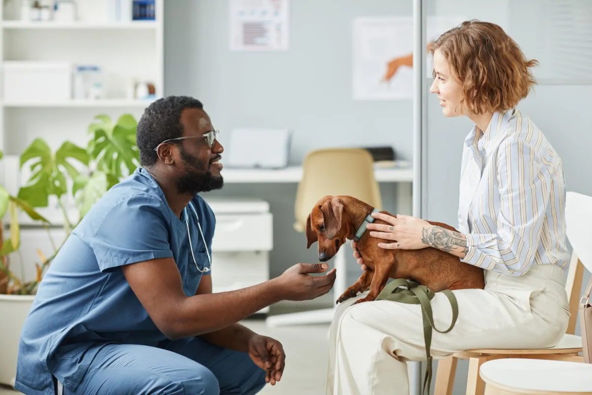 It's important for a pet to feel comfortable when getting checkups to avoid inconveniences when they need real treatment. (SeventyFour/Shutterstock)