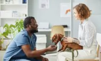 Don’t Ignore Dog’s Animal Hospital Aggression