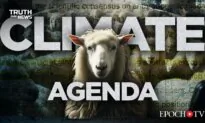 Do 97 Percent of Scientists Indeed Agree That Climate Change Is Real? | Truth Over News | Truth Over News