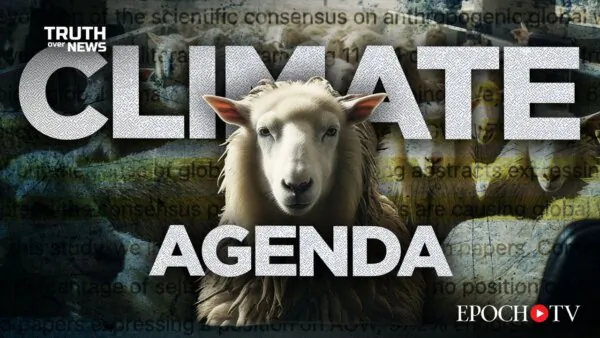 Do 97 Percent of Scientists Indeed Agree That Climate Change Is Real? | Truth Over News | Truth Over News