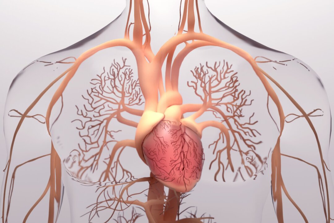 Avoiding Specific Foods May Enhance Pulmonary Hypertension Treatment
