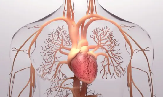 Avoiding Specific Foods May Enhance Pulmonary Hypertension Treatment