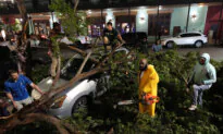 Over 800,000 Customers in Texas Are Without Electricity After Severe Storms
