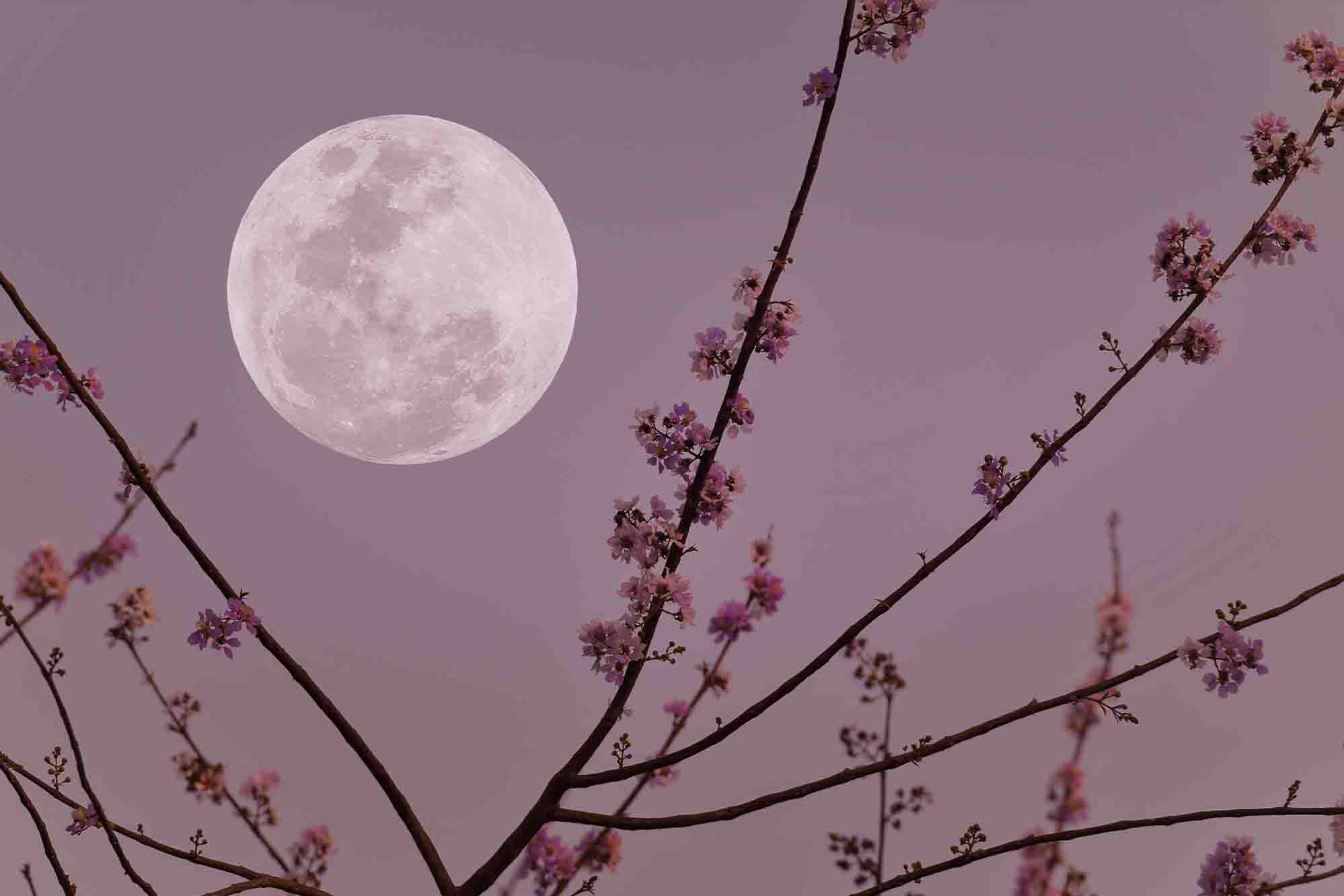 Epoch Times Photo