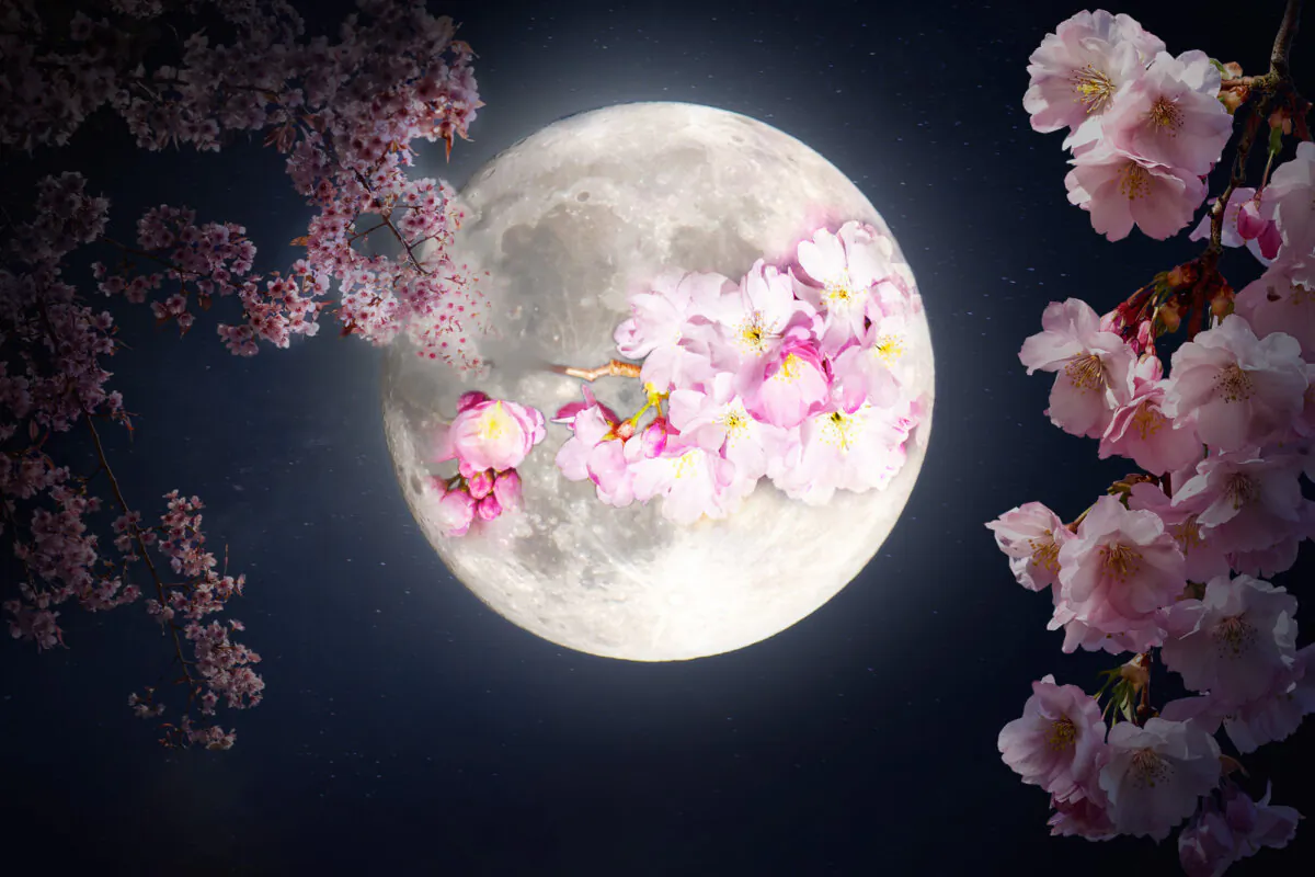Springtime blooms and a full moon. (Illustration by The Epoch Times, Shutterstock)