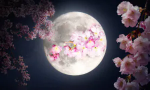 Full ‘Flower Moon’ in May to Shine in the Springtime Sky—Here’s How It Got Its Rosy Name