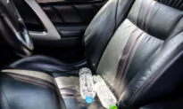 Cancer-Causing Chemicals Lurk in Modern Car Interiors: Study