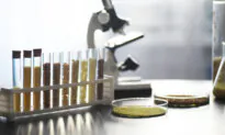 Is There Mold in Your Coffee? Mycotoxins in Coffee and Why They Are Harmful for Your Health