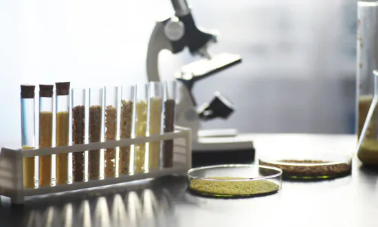 Is There Mold in Your Coffee? Mycotoxins in Coffee and Why They Are Harmful for Your Health