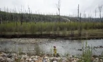 Status of Wildfire That Threatened Fort McMurray Changed to ‘Being Held’