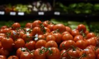 California County Proclaims Local Emergency to Allow Tomato Farms to Use Pesticides