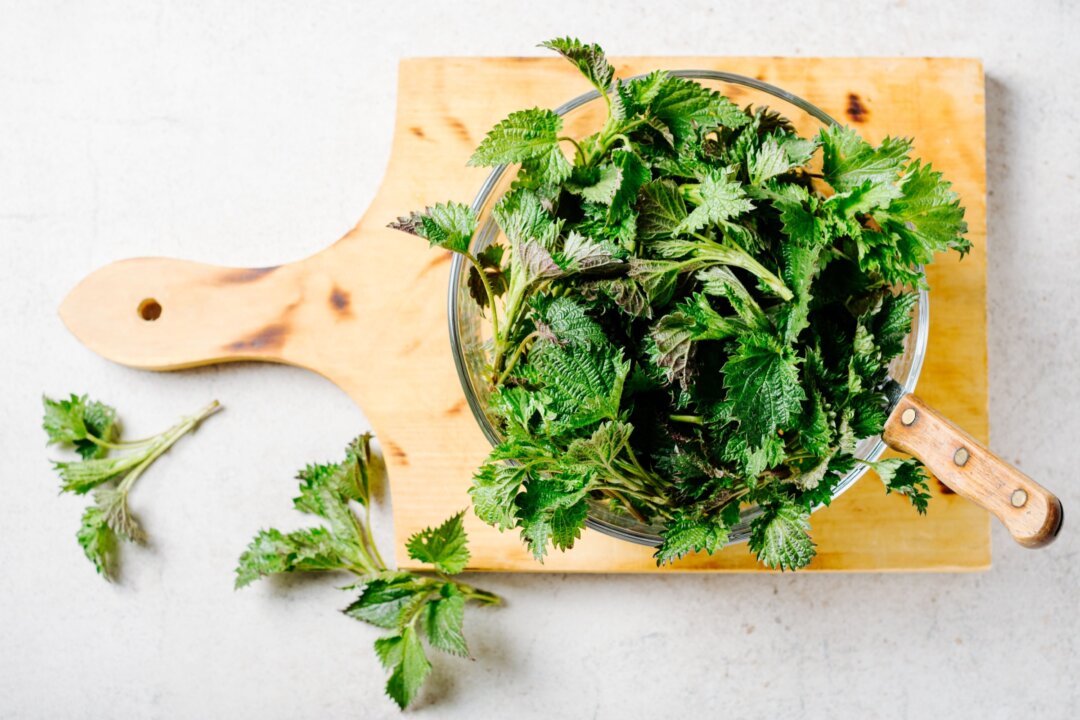 Obnoxious Weeds Team Up to Fight Cancer–New Review