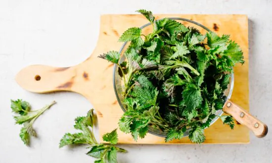 Obnoxious Weeds Team Up to Fight Cancer—New Review