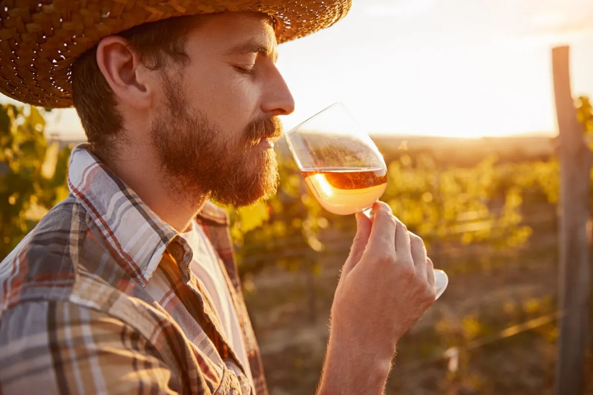 Most winemakers say the chardonnay grape is one of the least interesting in its aroma profile. (Max kegfire/Shutterstock)