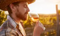 Wine Aromas