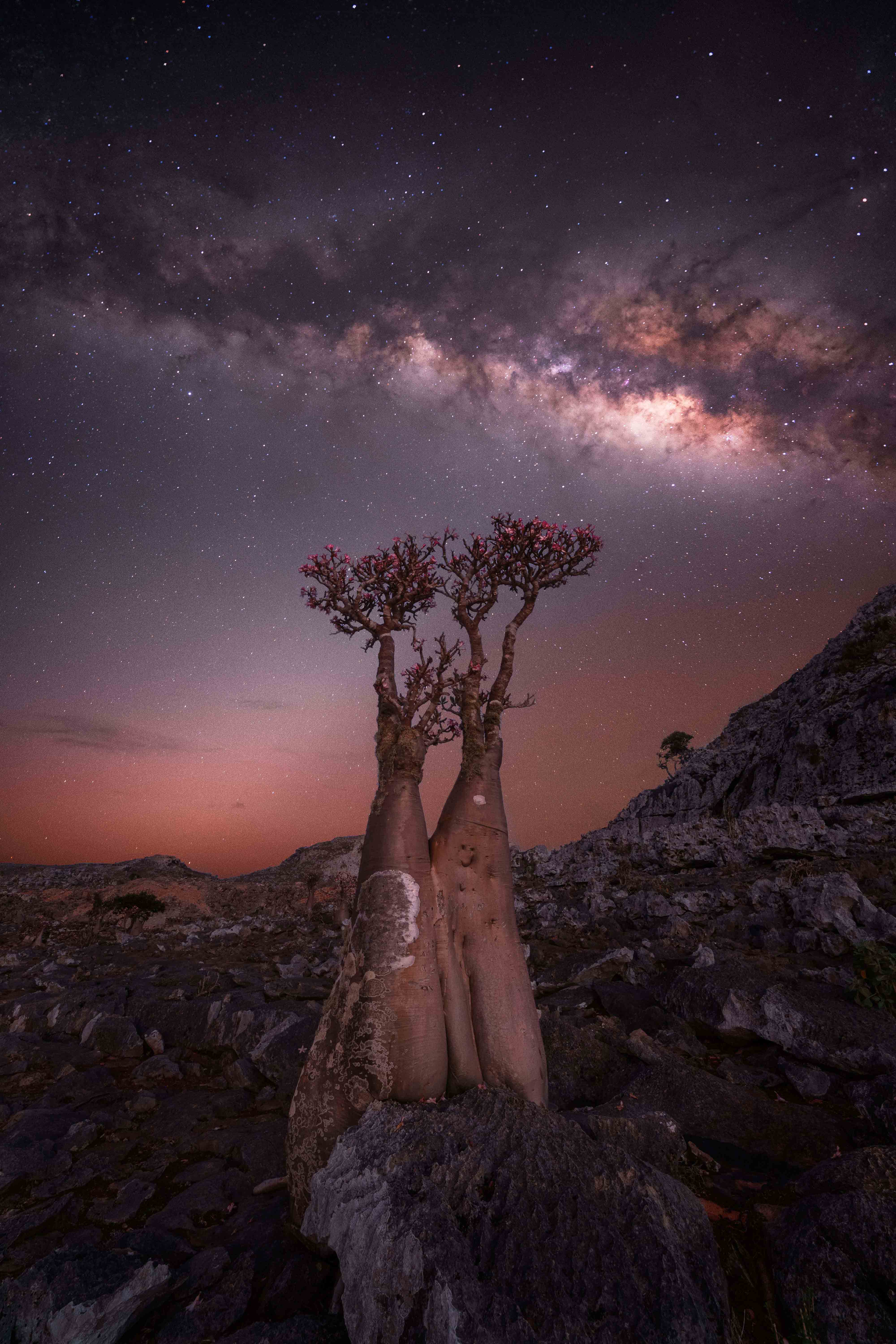 Epoch Times Photo
