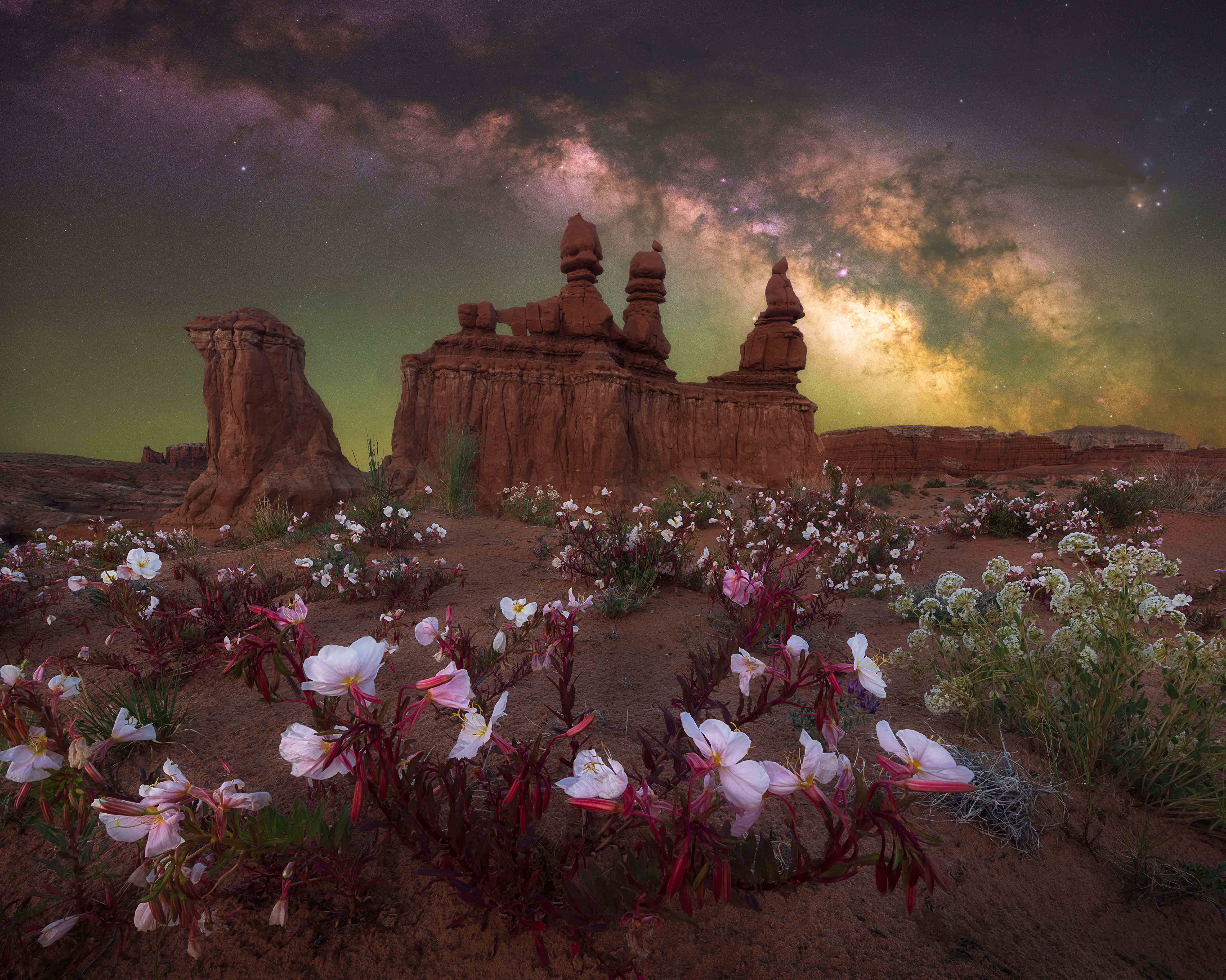 Epoch Times Photo